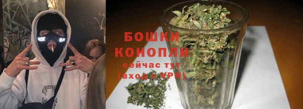 гашиш Богданович