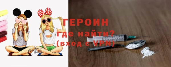 молекула духа Богородицк