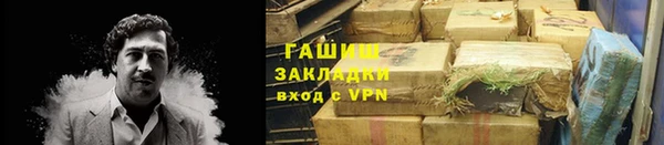 молекула духа Богородицк