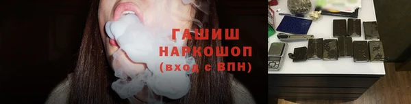 молекула духа Богородицк