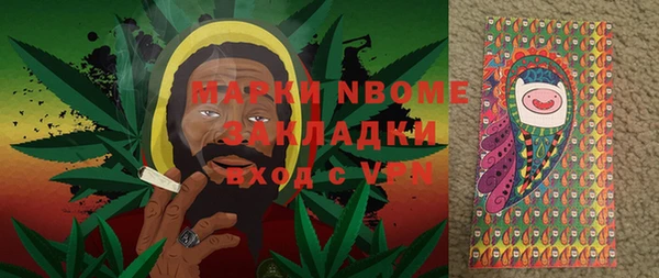 молекула духа Богородицк