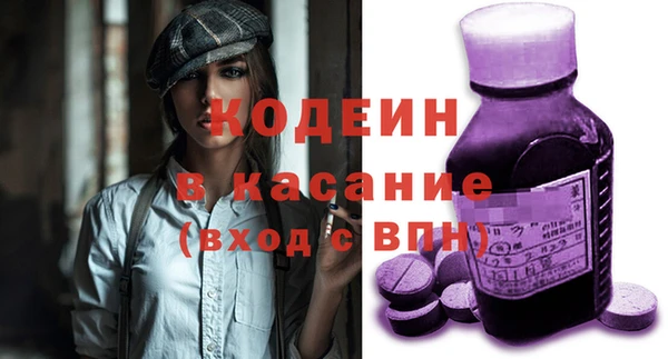 молекула духа Богородицк