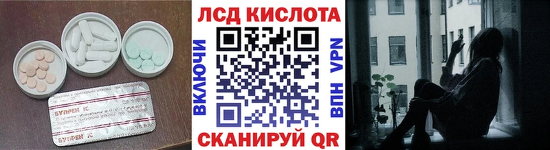 Купить закладки  Кудрово  ЛСД экстази ecstasy 