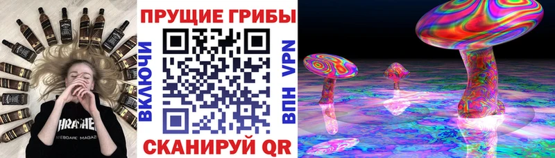 Псилоцибиновые грибы мицелий  Купить  Кудрово 