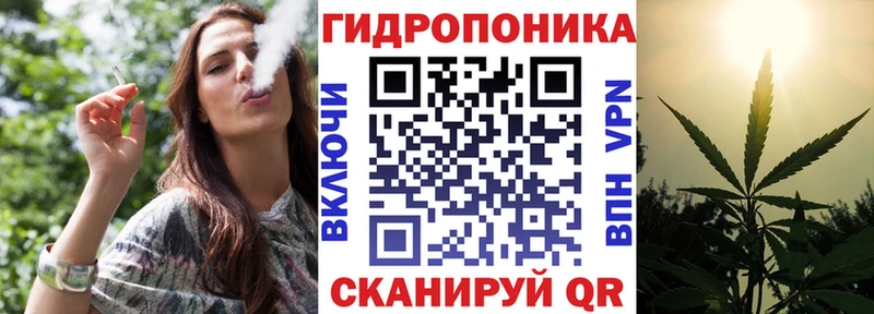 Купить где  Кудрово  Каннабис марихуана 